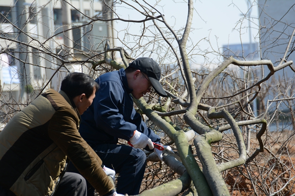 綠化現(xiàn)場