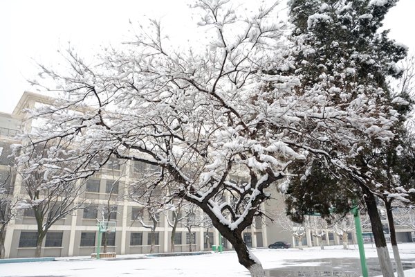 校園雪景